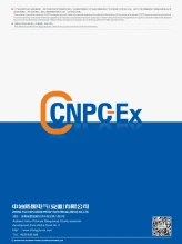 Образец для отбора взрывозащищенного электрооборудования CNPC