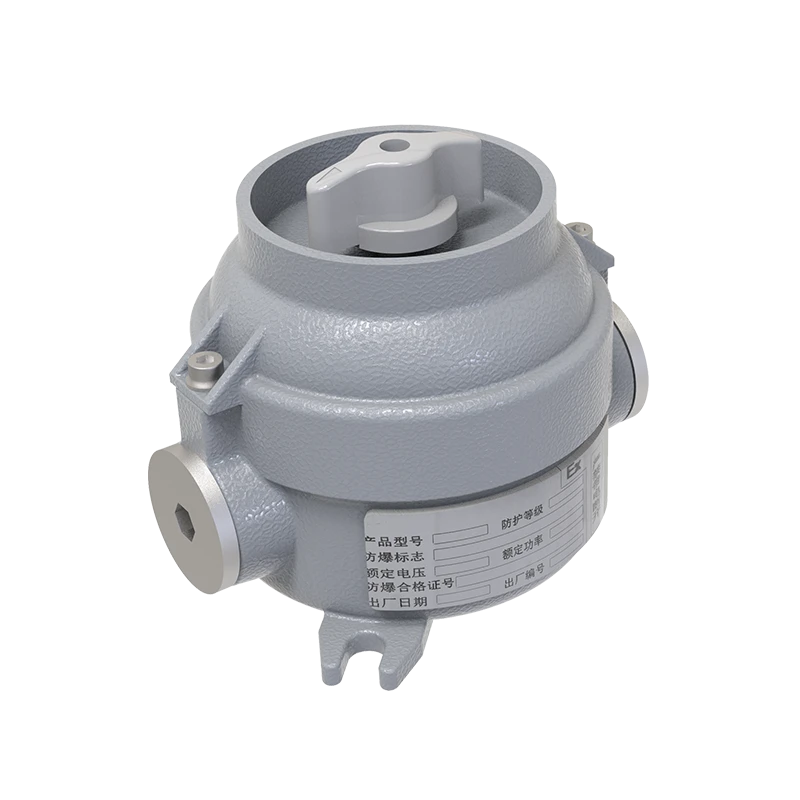 Взрывозащищенный выключатель освещения CN300